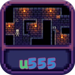u555